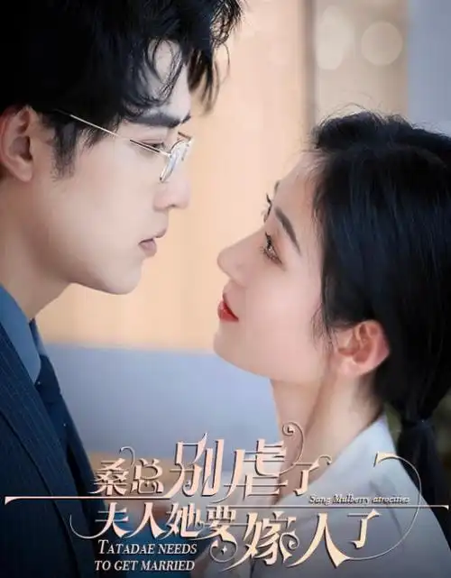苹果在线观看一夜闪婚短剧海报
